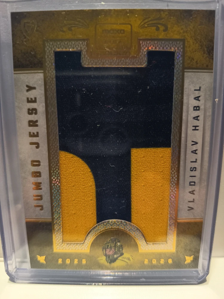 Vladislav Habal Jumbo jersey 2/6 Sokolov 25/26 2. série
