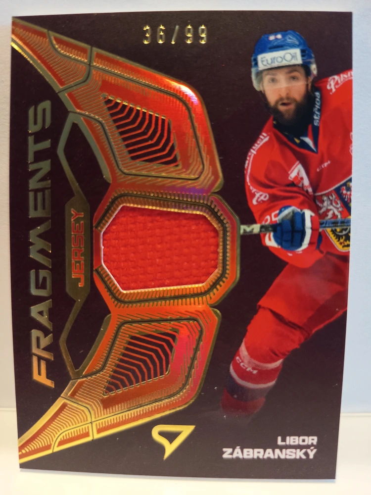 Libor Zabranský Jersey fragment 36/99