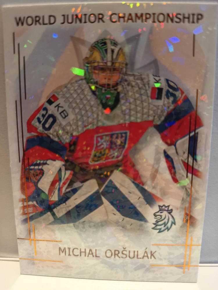Michal Oršulák bronze Jungle 15/15 25/26 Series 1 Collectors box Real cards
