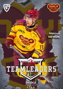 Matouš Menšík Teamleaders