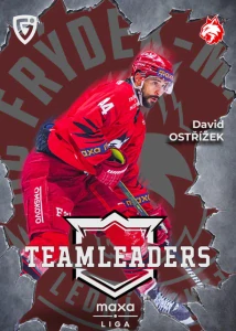 David Ostřížek Teamleaders Frýdek 25/26