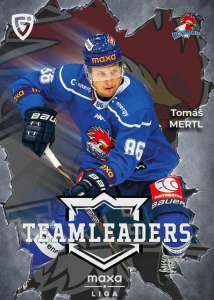 Tomáš Mertl Teamleaders