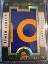 Tomáš Dujsík Jumbo jersey 2/4 Vsetín 25/26