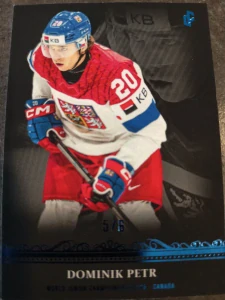 Dominik Petr World junior championship 5/6
