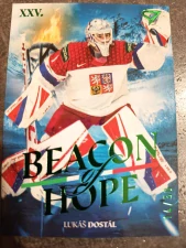 Lukáš Dostál Beacon of hope Forest green 14/50
