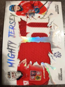 Josef Kořenář Ondřej Beránek Mighty jersey Dual Shiny SIlver 15/20