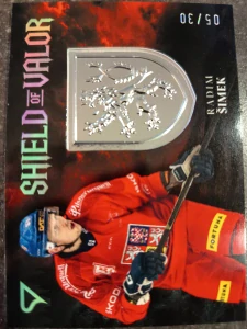 Radim Šimek Shield of Valor Royal Silver 05/30