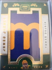 Tomáš Dujsík Jumbo jersey 1/4 Vsetín 25/26