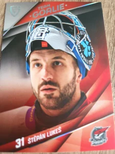 Štěpán Lukeš Team goalie 04/15 Chomutov 25/26