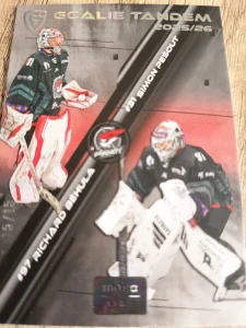 Richard Běhula Simon Pešout Goalie tandem 15/15 Chomutov 25/26