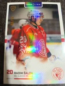 Radim Šalda 09/10 Slavie 25/26