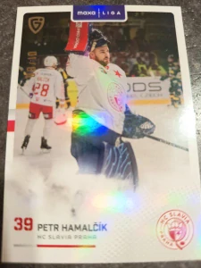 Petr Hamalčik 09/10 Slavie 25/26