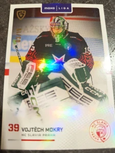 Vojtěch Mokrý 03/10 Slavie 25/26