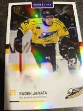 Radek Janata 09/10 Sokolov 25/26