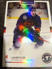 Lukáš Plos 09/10 Litoměřice 25/26