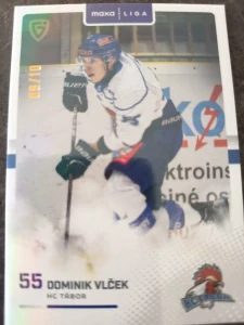 Dominik Vlček 09/10 Tábor 25/26