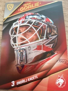Ondřej Kacetl Team goalie Frýdek 25/26