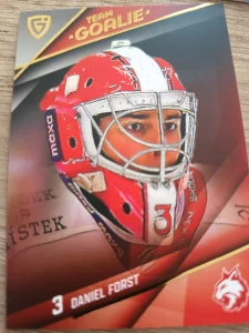 Daniel Forst Team goalie Frýdek 25/26