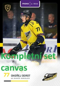 Kompletní set Canvas Sokolov 17 ks 25/26