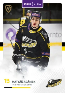 Matyáš Adámek Canvas Sokolov 25/26