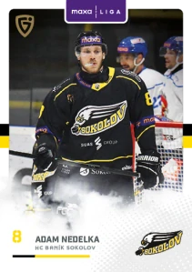 Adam Nedelka Canvas Sokolov 25/26