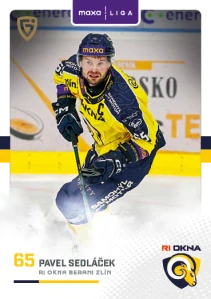 Pavel Sedláček Canvas Zlín 25/26