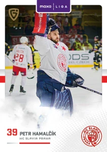 Petr Hamalčik Canvas Slavie 25/26