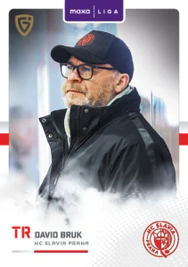 David Bruk Canvas Slavie 25/26