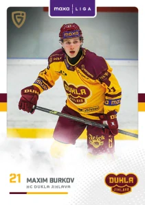Maxim Burkov Canvas 