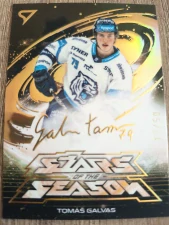 Tomáš Galvas Liberec Stars of season golden script 10/50 25/26 Play off
