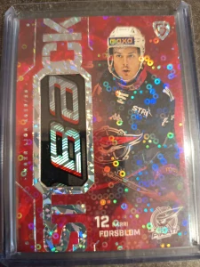 Karri Forsblom Stick 1/5 Chomutov 25/26 2. série