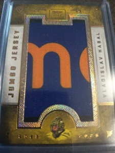 Vladislav Habal Jumbo Jersey 1/3 Sokolov  25/26 1. série