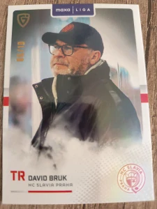 David Bruk 06/10 Slavie 25/26
