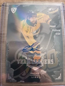 Radek Číp Teamleaders signature 10/10 Sokolov 25/26 1. série