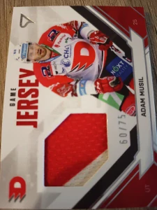 Adam Musil Pardubice Game jersey 60/75 Sportzoo 21/22