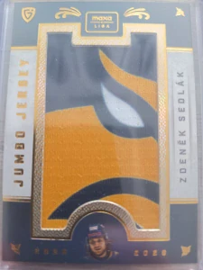 Zdeněk Sedlák Jumbo jersey 11/27 Zlín 25/26