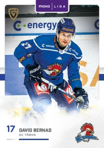 David Bernad Canvas Tábor 25/26