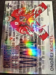 Ondřej Kacetl Changed in to the wall Crosslight 12/30 25/26 Series 1 Collectors box Real cards