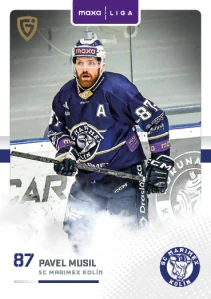 Pavel Musil Canvas 