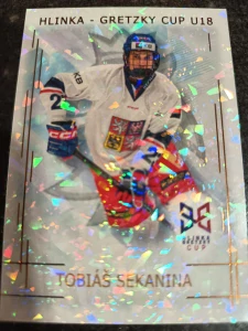 Tobiáš Sekanina bronze Jungle 14/15 25/26 Series 1 Collectors box Real cards