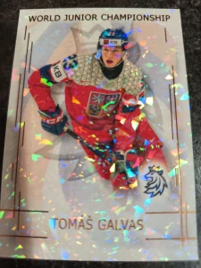 Tomáš Galvas bronze Jungle 14/15 25/26 Series 1 Collectors box Real cards