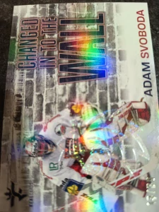 Adam Svoboda Changed in to the wall Crosslight 13/30 25/26 Series 1 Collectors box Real cards