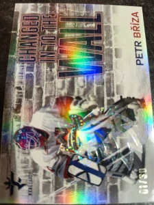 Petr Bříza Changed in to the wall Crosslight 01/30 25/26 Series 1 Collectors box Real cards