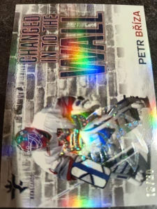 Petr Bříza Changed in to the wall Crosslight 13/30 25/26 Series 1 Collectors box Real cards