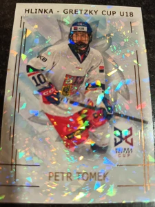 Petr Tomek bronze Jungle 02/15 25/26 Series 1 Collectors box Real cards