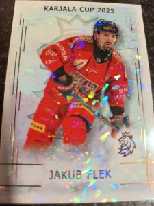 Jakub Flek bronze Jungle 02/15 25/26 Series 1 Collectors box Real cards