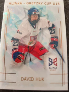 David Huk bronze Jungle 01/15 25/26 Series 1 Collectors box Real cards