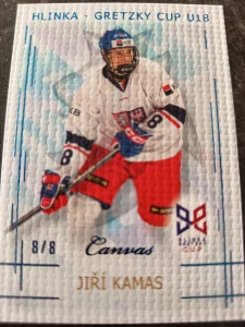 Jiří Kamas Canvas Blue 8/8 25/26 Series 1 Collectors box Real cards