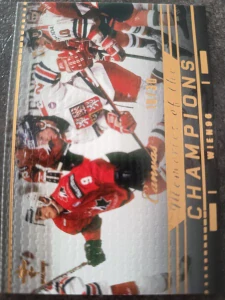 Otakar Vejvoda Champions Wien 96 Gold 18/30 25/26 Series 1 Collectors box Real cards