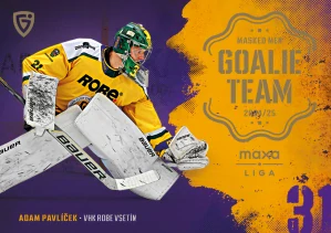 Adam Pavlíček Team Goalie Vsetín 24/25 1. série